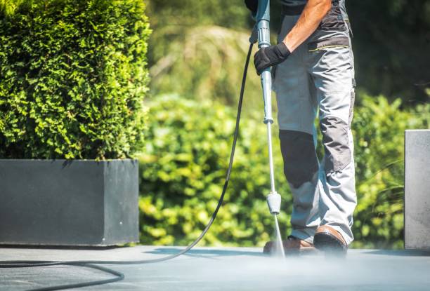 Trusted Benwood, WV Pressure Washing Services Experts