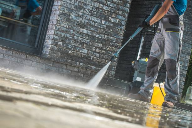 Best Graffiti Removal  in Benwood, WV